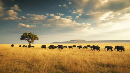 Foto op Canvas On the savannah of Africa, a majestic herd of elephants travels across the vast landscape, the golden hues of the grassland stretching to the horizon. The sheer scale of the scene © Kateryna Arkhypova