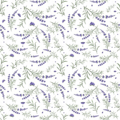 Seamless pattern of lavender branches and flowers. Design of packaging, bed linen, textiles and other designs. Vector illustration