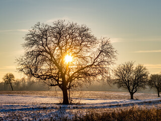 Abendhimmel in winterlicher Landschaft
