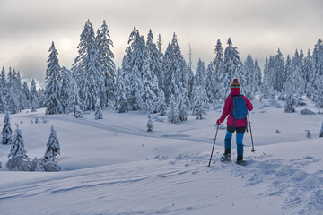 nice and active senior woman hiking with snow shoes in deep powder snow in the  Hochhaedrich area...