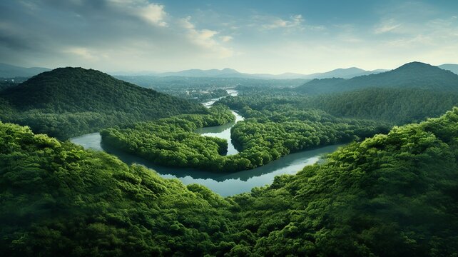 An aerial view of a lush green forest forming a perfect lung-shaped clearing, symbolizing nature's breath