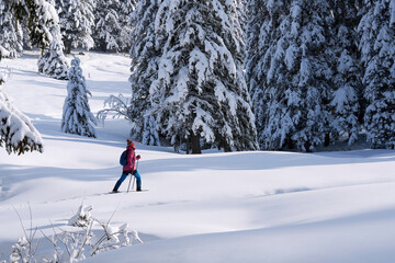 nice and active senior woman hiking with snow shoes in deep powder snow in the  Hochhaedrich area of Bregenz Forest in Vorarlberg, Austria