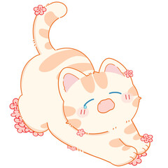 cat