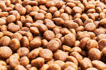  Delicious group of dog food balls texture