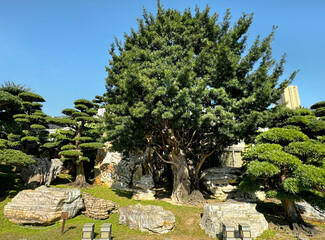 Nan Lian Garden, a truly hidden gem in Diamond Hill area, Kowloon, Hong Kong. A public garden with beautiful trees, bonsai, ponds, pagoda, set as a gateway to Chi Lin.