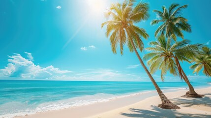 Fototapeta na wymiar Coconut palm trees along the beach with blue sky background in sunny day