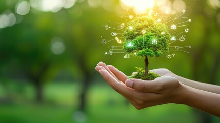  Hand holding a green tree with icons of energy sources for renewable