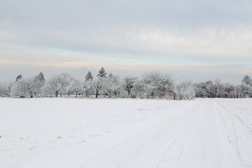 Landschaft nahe Grüningen in Hessen, an einem Wintertag im Januar 204