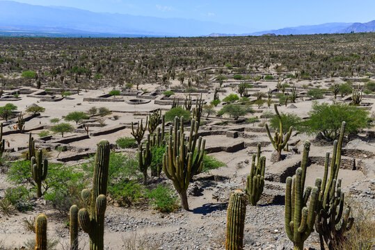The ruins of Quilmes, an archaeological site in the Valles Calchaqu&iacute;es, Tucum&aacute;n Province, Argentina.