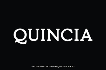 Clean classic beautiful serif alphabet display font vector