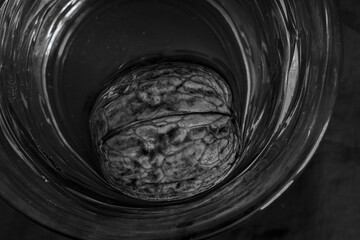 still life with walnuts and other