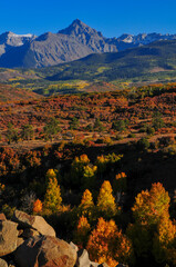 Late afternoon light on the fall colors up the slopes of the Sneffels Range of the San Juan mountains, as seen from the Dallas Divide, near Ridgway, Colorado, USA.