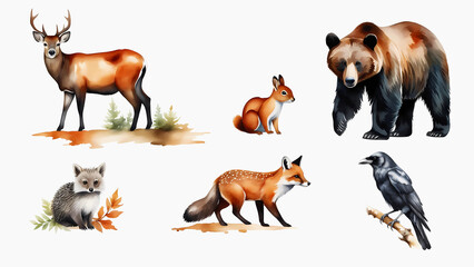 Set of various animals such as deer, squirrel, bear, hedgehog, fox and crow in watercolor style on a white background