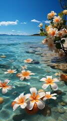 Plumeria flowers floating on the water on the beach