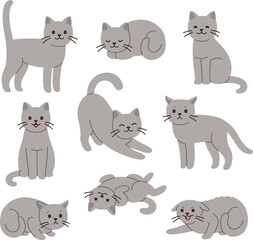 Cartoon cat set with different poses and emotions. Cat behavior, body language and face expressions. Gray kitty in simple cute flat style, isolated illustration. © sudowoodo
