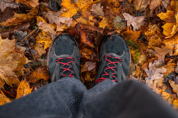 Men's shoes with red laces on the foliage in the autumn park