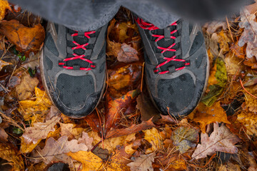Men's shoes with red laces on the foliage in the autumn park