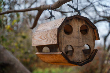 Bird and squirrel feeder in the autumn park