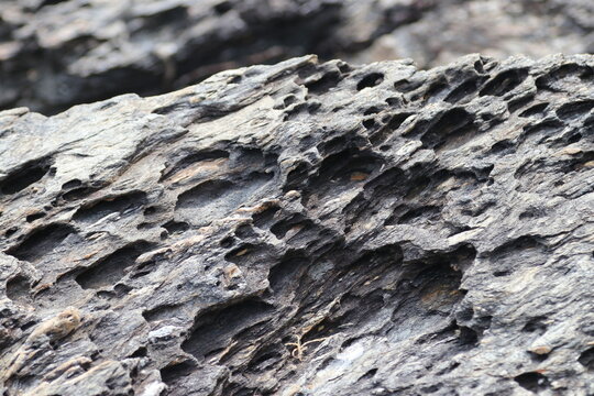 Nature-Inspired Stone Wall Texture Background with Abstract Tree Bark Patterns in Earthy Tones