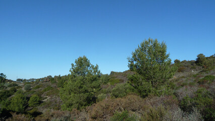 Obraz premium Sardegna