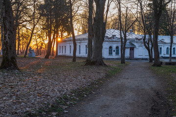 morning in the park