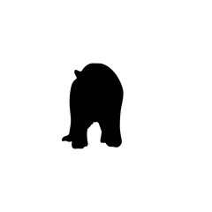 hand drawn bear silhouette