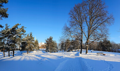 Panorama of a snow-covered city park with long shadows on a sunny morning in Riga, Latvia. Cold winter weather.	
