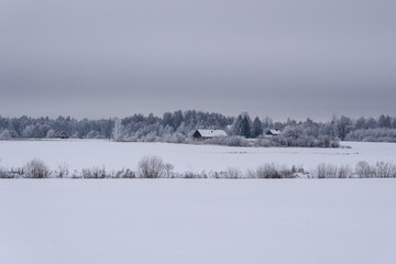 an afternoon in the countryside with blushing trees, houses and snowy fields