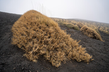Etna volcano, cloudy day