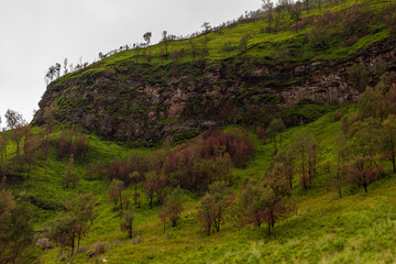 Landscape of green hills in the mountains on a cloudy day. Location of Mount Bromo in Bromo Tengger Semeru National Park, East Java, Indonesia