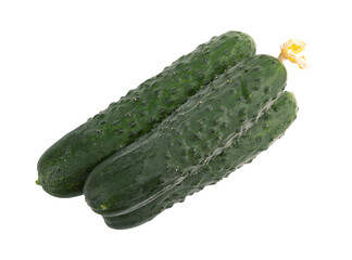 pile of fresh raw cucumbers, organic vegetables