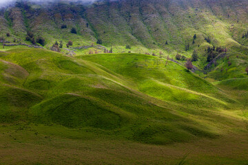 Landscape of green hills in the mountains on a cloudy day. Location of Mount Bromo in Bromo Tengger Semeru National Park, East Java, Indonesia