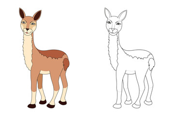 Obraz premium Vicuna line and color illustration. Cartoon vector illustration for coloring book.