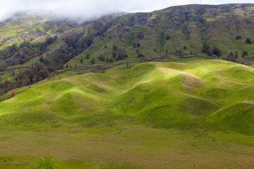 Landscape of green hills in the mountains on a cloudy day. Location of Mount Bromo in Bromo Tengger Semeru National Park, East Java, Indonesia