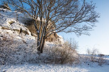Swedish harsh beautiful winter concept: sunny view after snowfall