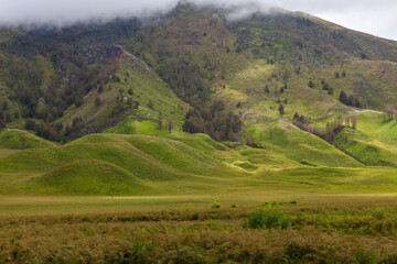 Obraz premium Landscape of green hills in the mountains on a cloudy day. Location of Mount Bromo in Bromo Tengger Semeru National Park, East Java, Indonesia