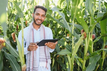 Indian farmer using tablet at agriculture field. An agronomist inspects the corn crop.