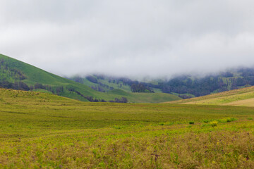 Fototapeta na wymiar Landscape of green hills in the mountains on a cloudy day. Location of Mount Bromo in Bromo Tengger Semeru National Park, East Java, Indonesia