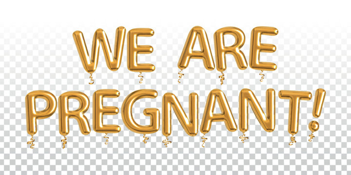 Vector realistic isolated golden balloon text of We Are Pregnant on transparent background.