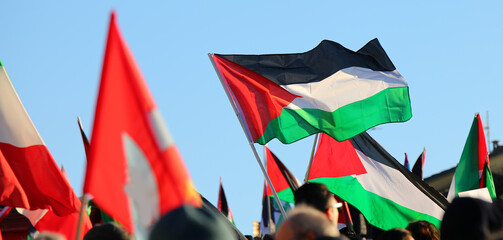 palestine flags with protesters during peaceful demonstration - obrazy, fototapety, plakaty