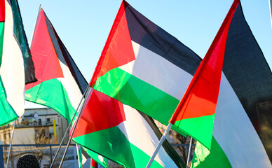 many waving palestinian flags during the peaceful demonstration for peace