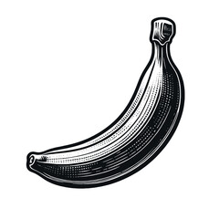 One banana. Vintage retro engraving illustration. Black icon, isolated element