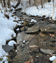 Obraz na płótnie Canvas stream, creek, river in forest during snowy, freezing winter.