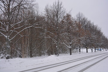 Winter Finnish roads with beautiful trees, white tracks with cars covered with ice and snow in Varkaus, Finland.