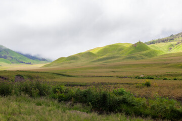 Landscape of green hills in the mountains on a cloudy day. Location of Mount Bromo in Bromo Tengger Semeru National Park, East Java, Indonesia
