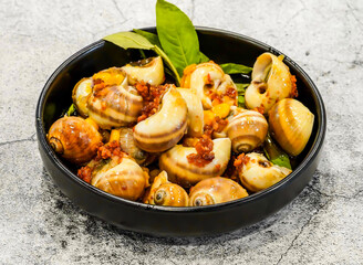 Fat snail at or oc mo chay tai, sotme served in dish isolated on grey background top view of singapore seafood