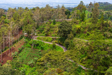 Obraz premium Landscape of green hills in the mountains on a cloudy day. Location of Mount Bromo in Bromo Tengger Semeru National Park, East Java, Indonesia
