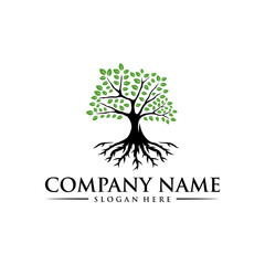 Root Of The Tree logo illustration. Vector silhouette