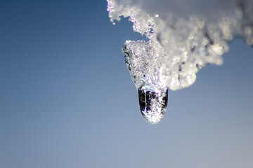 Melting icicle with dripping water drop with crystal clear water drop from melting ice show global...