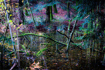 &eacute;tang impressionniste